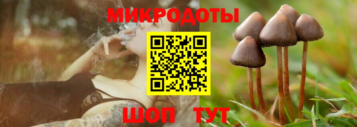 Псилоцибиновые грибы Magic Shrooms Ноябрьск